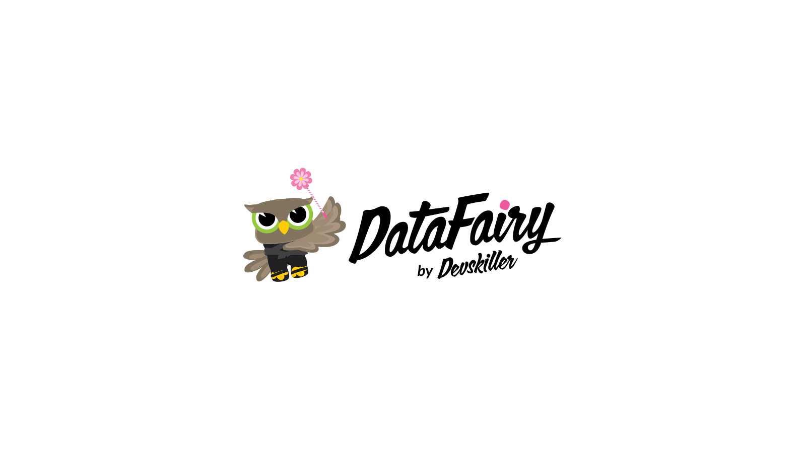 DataFairy